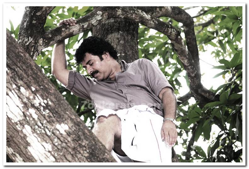 Mammootty12