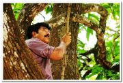 Mammootty15