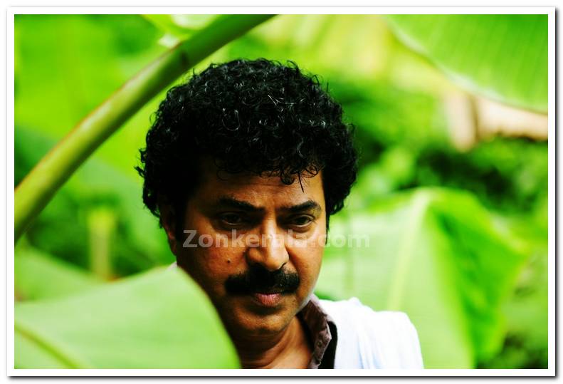 Mammootty18