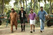 Malayalam Movie Mallu Singh Stills 6409