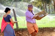 Mandrikan Stills 2976