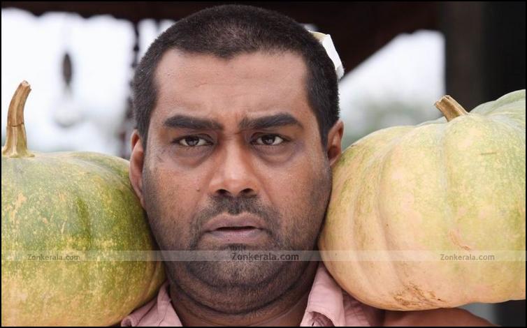 Biju Menon In Marukkundoru Kunjadu