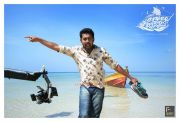 Asif Ali Movie Mosayile Kuthira Meenukal Poster 734