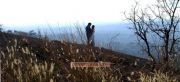 Movie Mullamottum Munthiricharum 9855