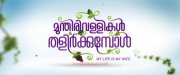 Nov 2016 Stills Munthirivallikal Thalirkkumbol Malayalam Cinema 8682