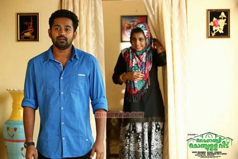 Asif Ali Meera Nandan New Pic 808