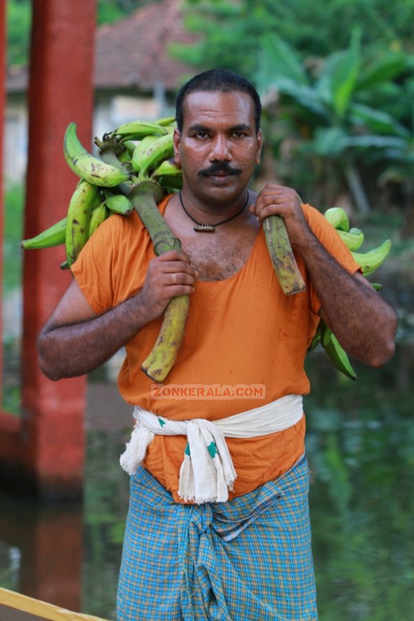 Movie Naga Bandham 9763