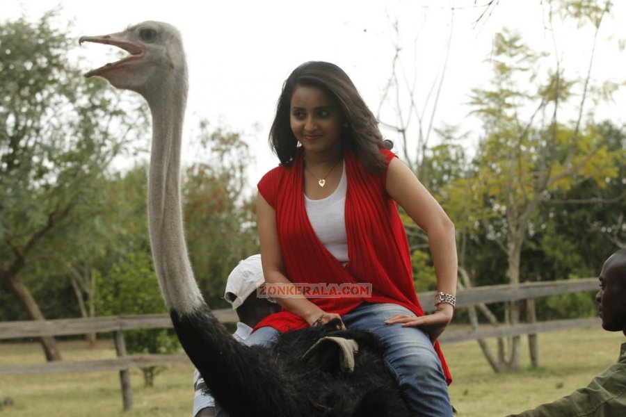 Bhama Sitting On Ostrich In Naku Penta Naku Taka 219