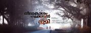 Malayalam Movie Neelakasham Pachakadal Chuvanna Bhoomi Photos 5312