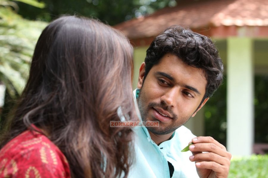 Neram 6733