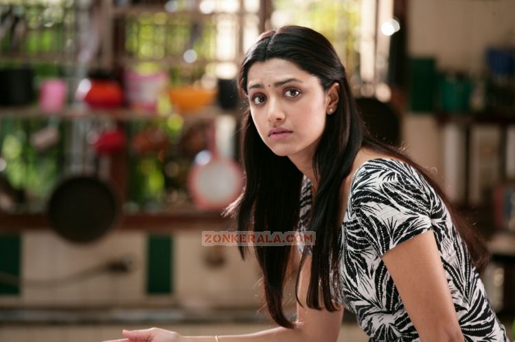 Mamta Mohandas New Still 748