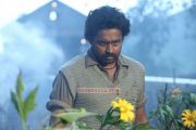 Asif Ali In Ordinary 531