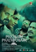Pakalum Paathiraavum Movie Latest Wallpaper 145