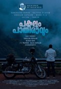 Recent Albums Malayalam Movie Pakalum Paathiraavum 9877