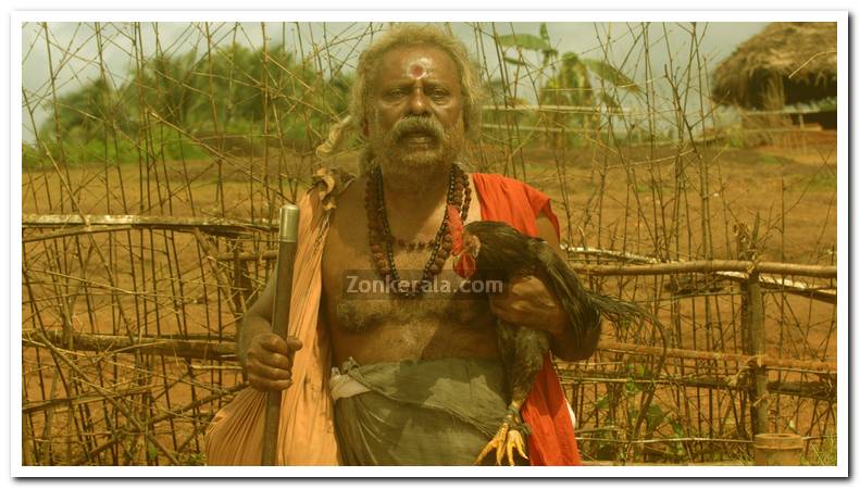 Malayalam Movie Paleri Manikyam Stills 6