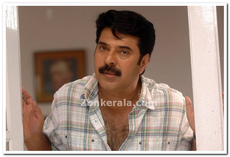 Mammootty Still 7