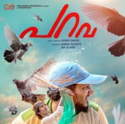 Parava