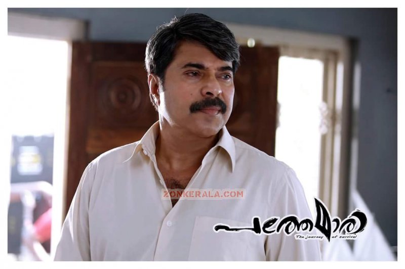 Pathemari Mammootty New Movie New Pic 396