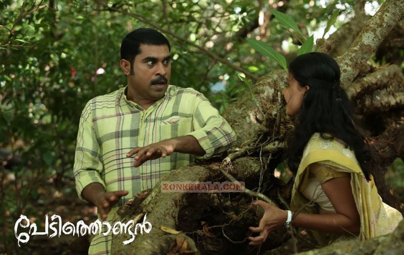 2014 Photo Malayalam Cinema Pedithondan 9564