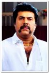 Mammootty In Pokkiriraja 1