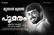 Kalidas Poomaram Movie Release 467