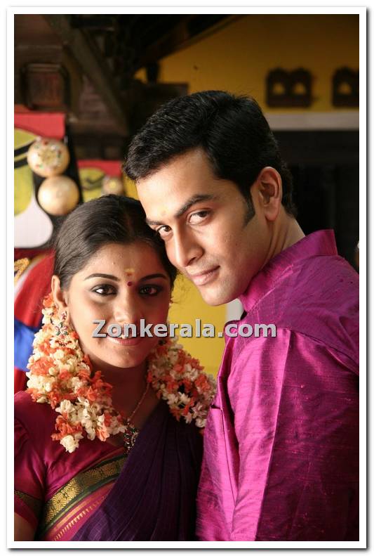 Meera Nandan And Prithviraj 48