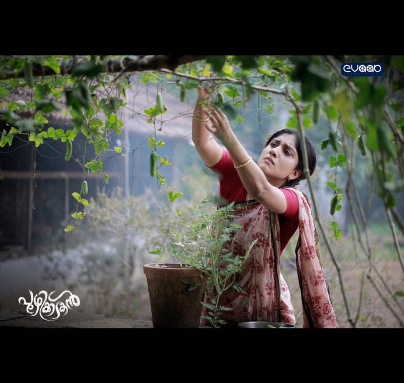 Puzhikkadakan Malayalam Movie New Pictures 9814