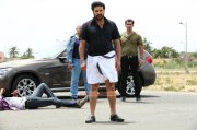 Mammootty In Rajadhi Raja 461