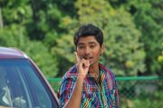 Movie Rebecca Uthup Kizhakkumala Stills 5431