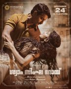 New Album Malayalam Movie Shyam Singha Roy 7769