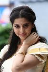 Actress Vedhika In Sringaravelan 207