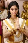 Vedhika New Picture Sringara Velan 979