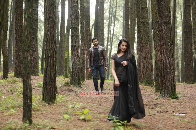 Recent Stills Malayalam Movie Team 5 6887