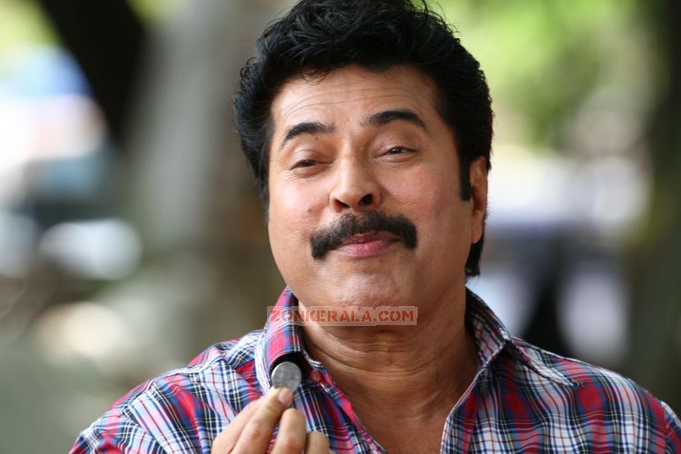 Mammootty Pic In Thappana 781