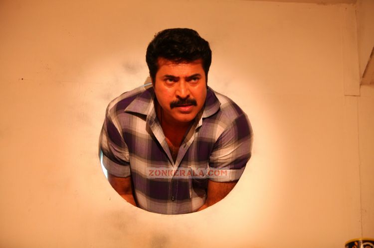 Mammooty Still From Thappana 538