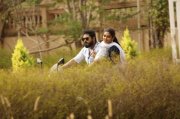 Ulta Gokul Suresh 794