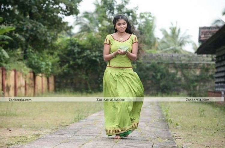 Vaidooryam Still 2