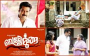 Biju Menon In Movie Vellimoonga Poster 198