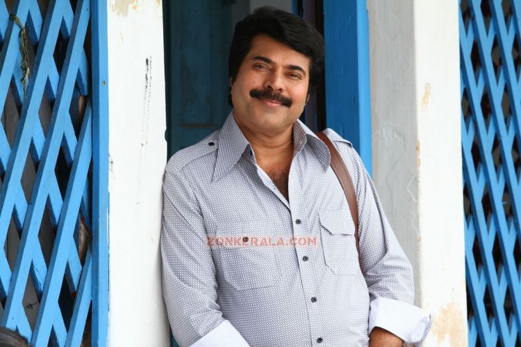 Mammootty Picture Venicile Vyapari 541