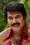 Mammootty Venicile Vyapari 379