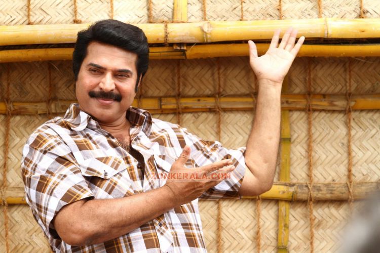 Venicile Vyapari Mammooty Pic 872