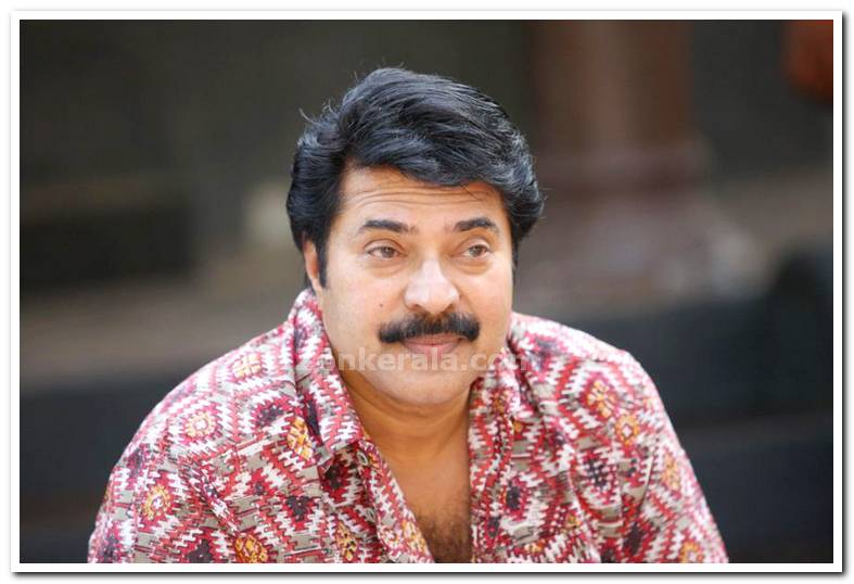 Mammootty Still 2