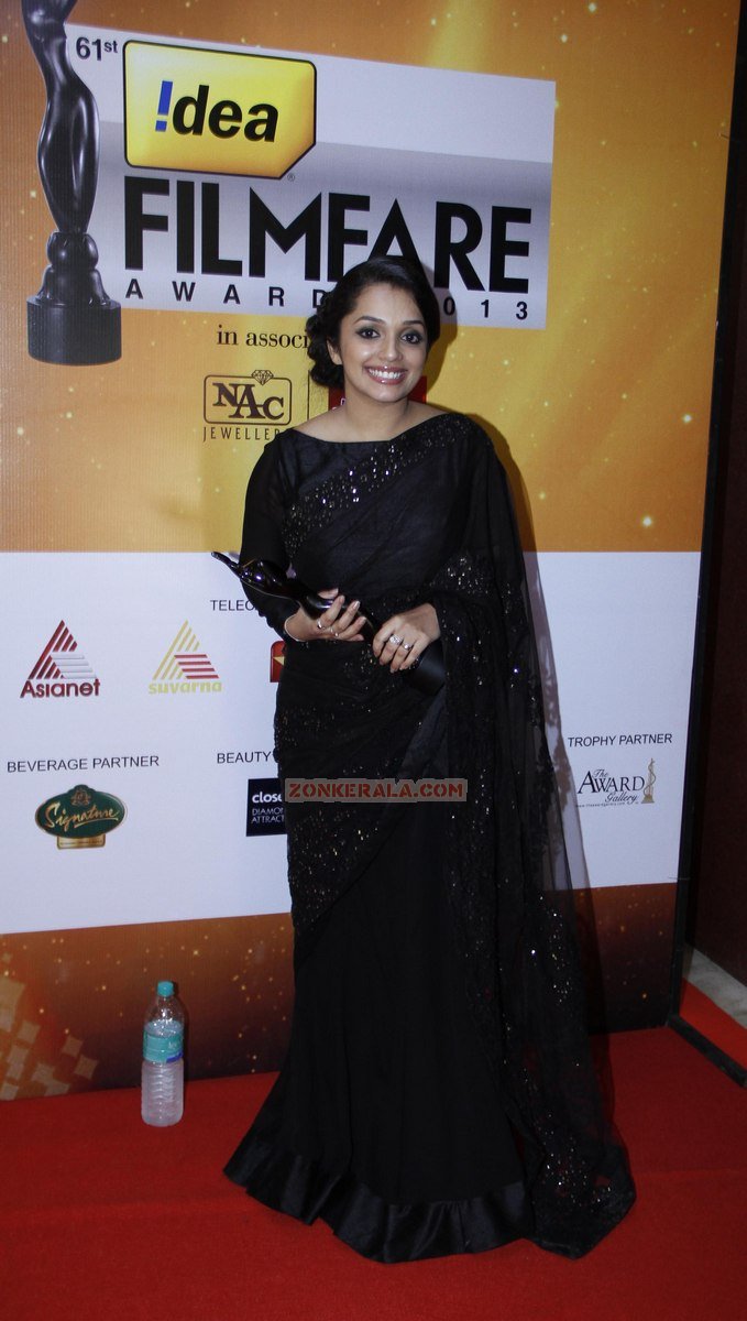Aan Augustine At 61st Idea Filmfare South Awards 2013 406