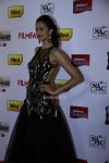 Celebs At 61st Idea Filmfare South Awards 2013 13 692