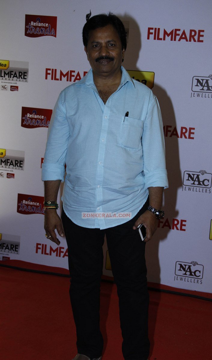 Celebs At 61st Idea Filmfare South Awards 2013 14 899