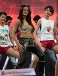 Parul Yadav Perfomance At 61st Idea Filmfare South Awards 2013 27