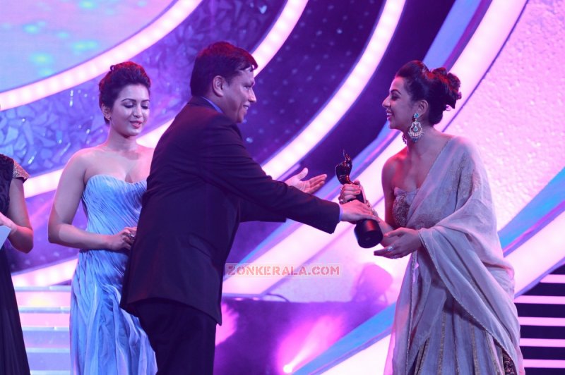 Catherine Tresa Nikki Galrani At 62 Filmfare Awards 603