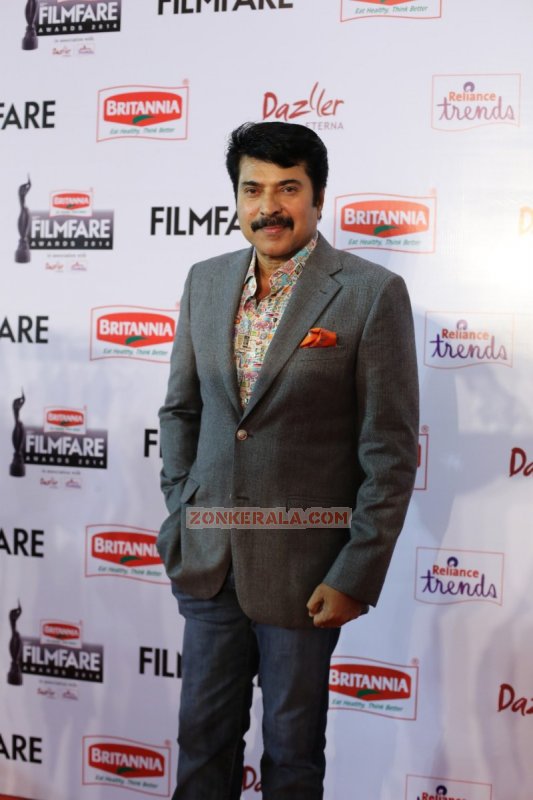 Mammootty At 62 Filmfare Awards Red Carpet 348