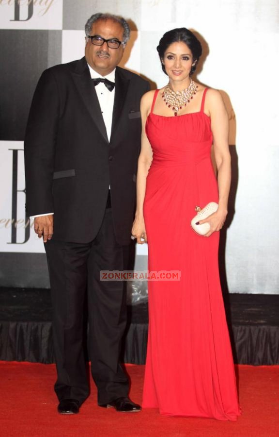 Boney Kapoor And Sridevi 201