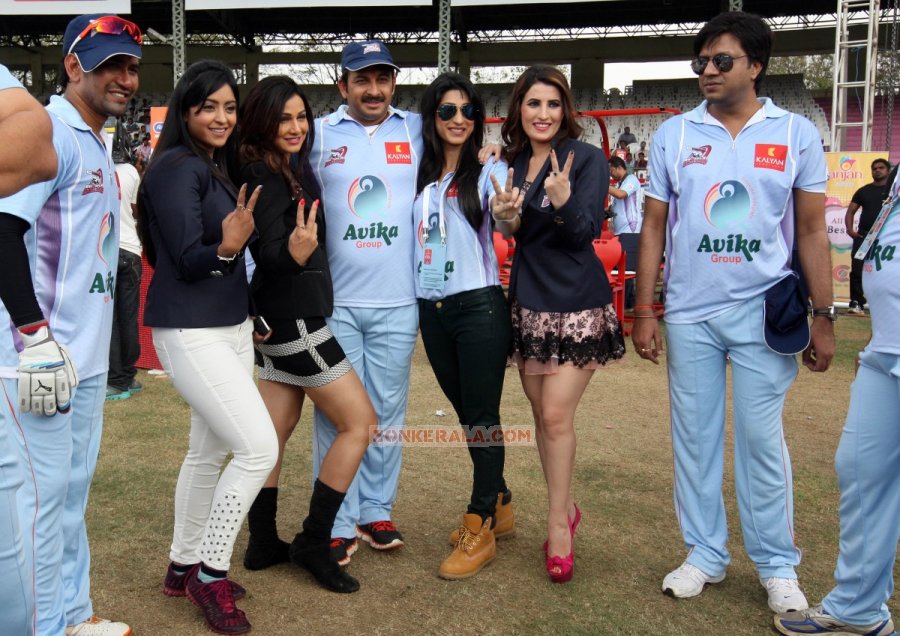 Ccl 3 Kerala Strikers Vs Bhojpuri Dabanggs Stills 4810